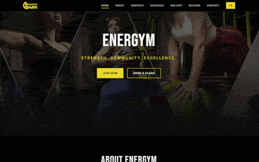 Thorn Website Demo